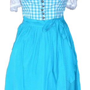 Dirndl Berwin & Wolff, hellblau kariert, Knöpfe 60 cm