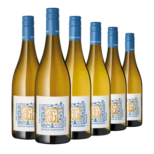 Weingut Fogt neuer Jahrgang 2025